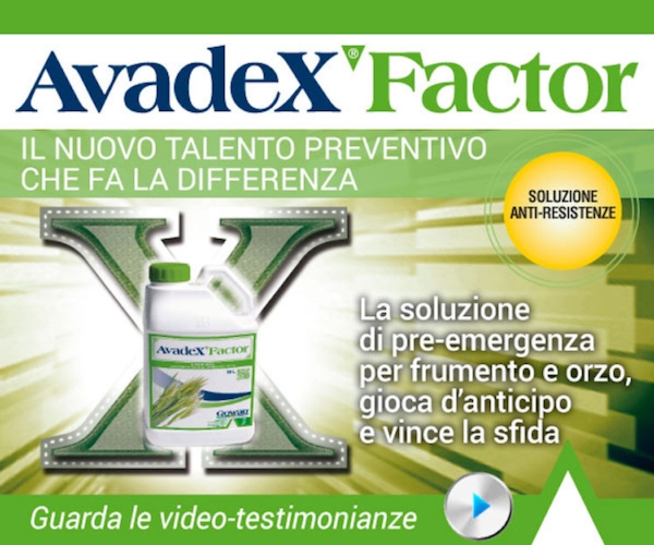 Avadex Factor è un erbicida a base di triallate, sostanza attiva, di proprietà Gowan