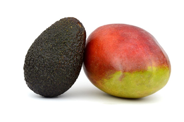 Mango e avocado, l'esperienza di Maruzza Cupane in provincia di Messina