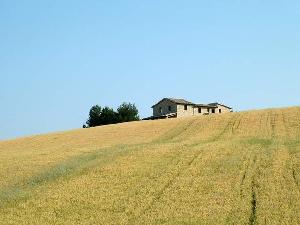 Secondo il Rapporto di Confai Academy, dal 2000 le aziende agricole in Italia sono diminuite del 35%
