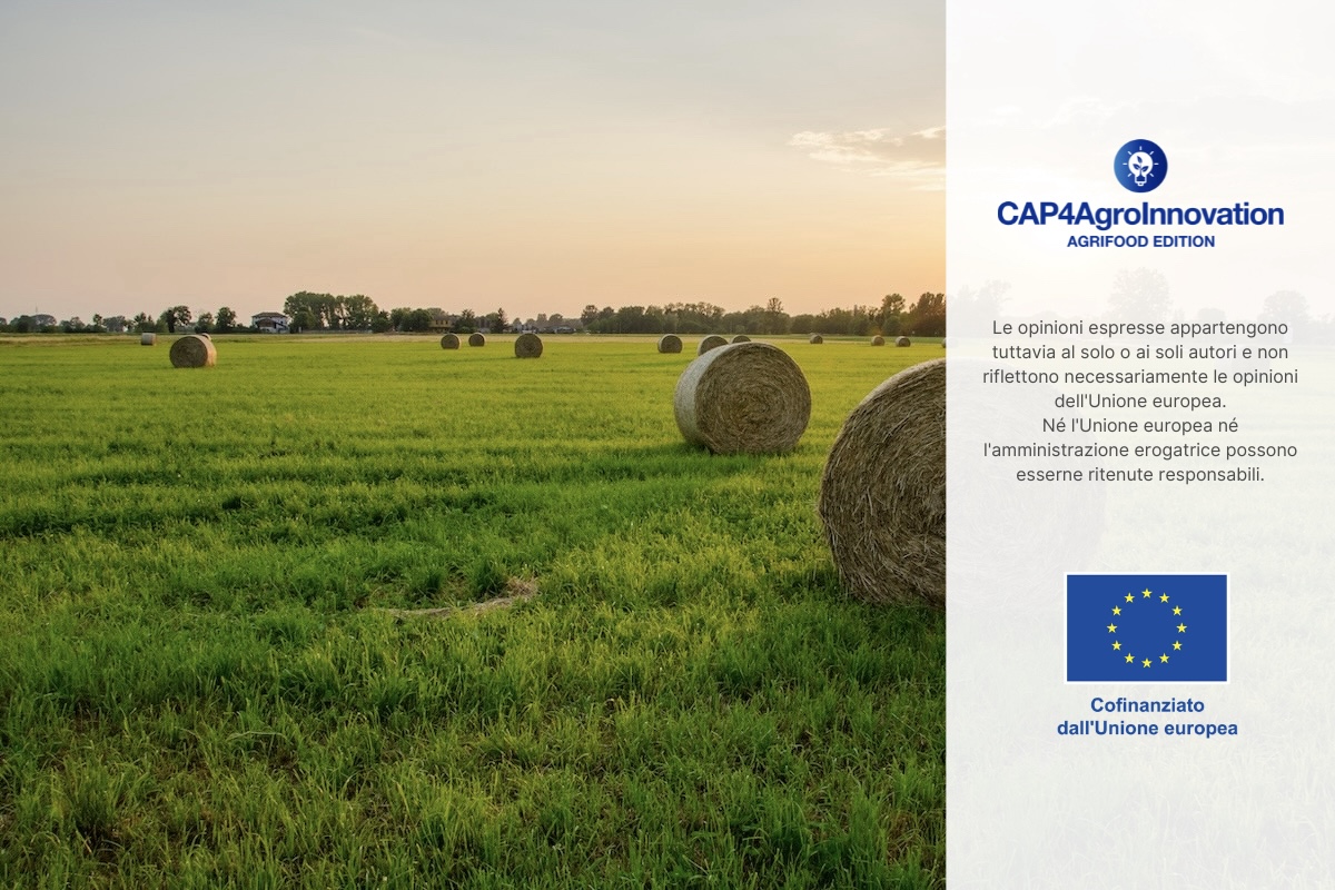 Costruire il dialogo e le politiche agricole e alimentari europee del futuro