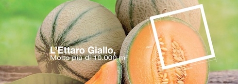 L'iniziativa Ettore Giallo BASF Italia per il melone