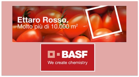 La nuova strategia di BASF per il pomodoro da industria