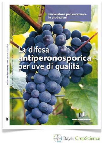 'La difesa antiperonosporica per uve di qualità'