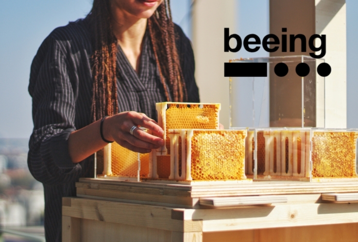 Un'immagine promozionale di un'arnia da apicoltura urbana di Beeing