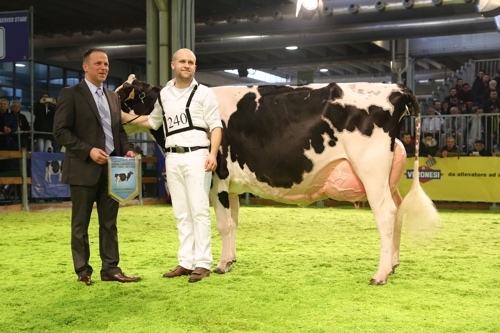  Bel Barclay Selen, campionessa assoluta dell'European Open Holstein Show