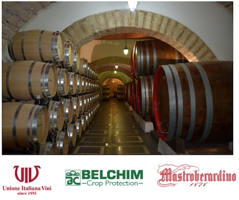 Convegno Belchim sulla viticoltura di qualità, ad Avellino