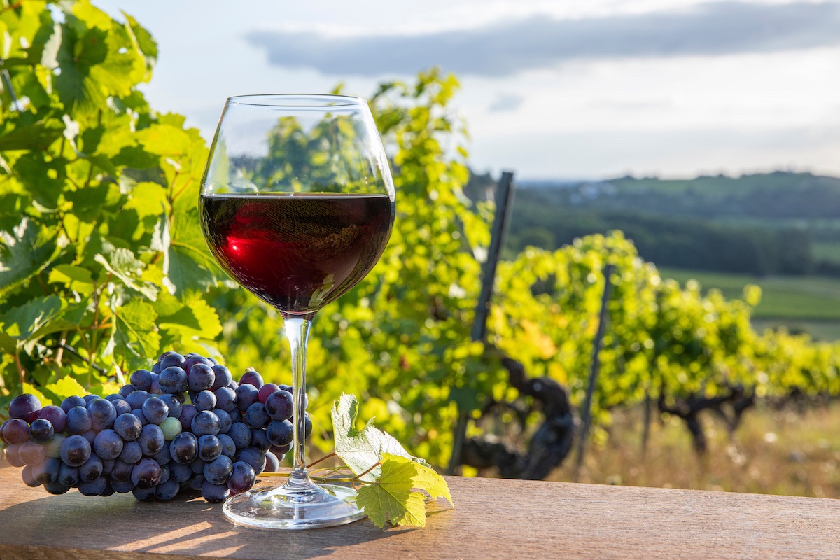 'Il vino è uno dei nostri gioielli, oltre a essere un prodotto strategico' afferma il ministro dell'Agricoltura Francesco Lollobrigida (Foto di archivio)