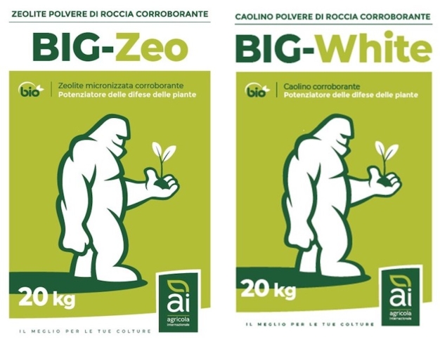 Big-Zeo e Big-White sono due prodotti eco friendly consentiti in agricoltura biologica, ma posso giocare un ruolo efficace anche in agricoltura convenzionale se impiegati in strategia