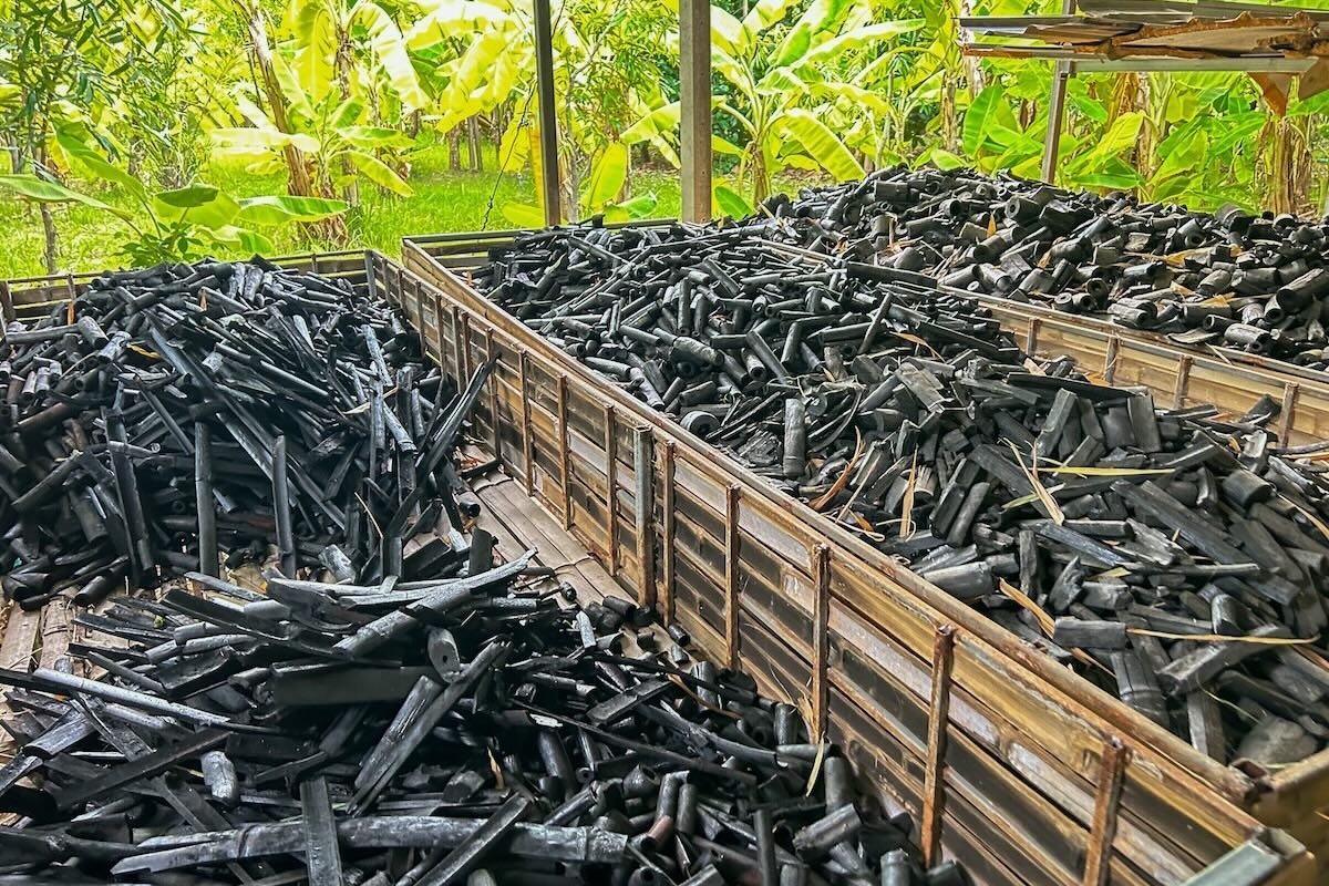 Biochar, il punto al Forum Regionale per i Cambiamenti Climatici