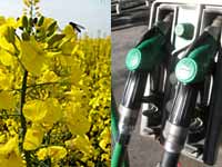 L'Italia quarta in Europa nella produzione di biodiesel