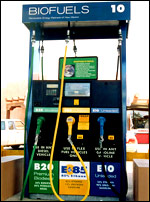 Crescono le vendite di biocarburanti nell'Ue