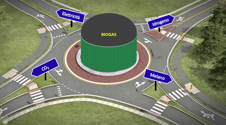 Analisi delle diverse alternative tecnologiche, commerciali e in sviluppo, nel tentativo di prevedere quali potrebbero essere le tendenze future nel mercato delle biomasse e del biogas