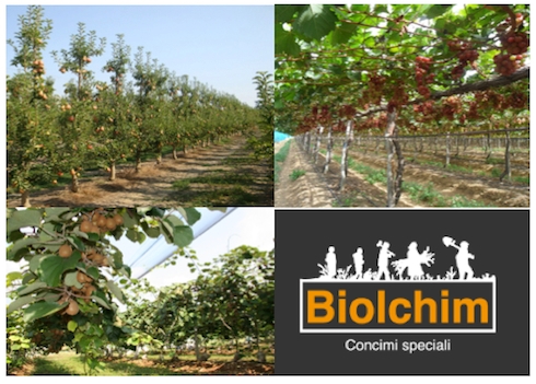 La Linea Biolchim per la concimazione post-raccolta delle colture frutticole