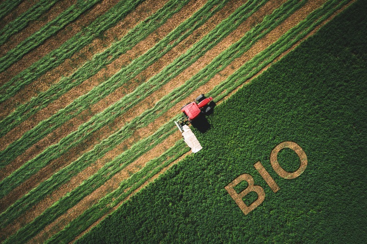 biologico-bio-campo-verde-trattore-by-valentinvalkov-adobe-stock-750x500.jpeg