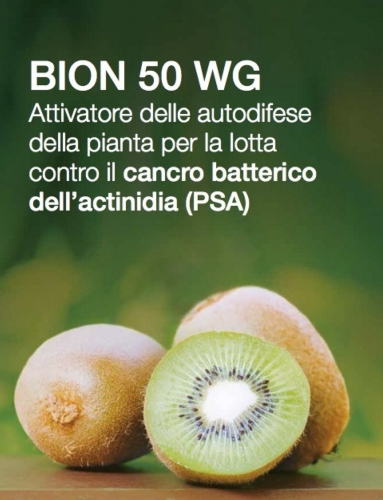 Bion® 50 WG, per il secondo anno consecutivo registrazione temporanea per il contenimento della batteriosi del kiwi