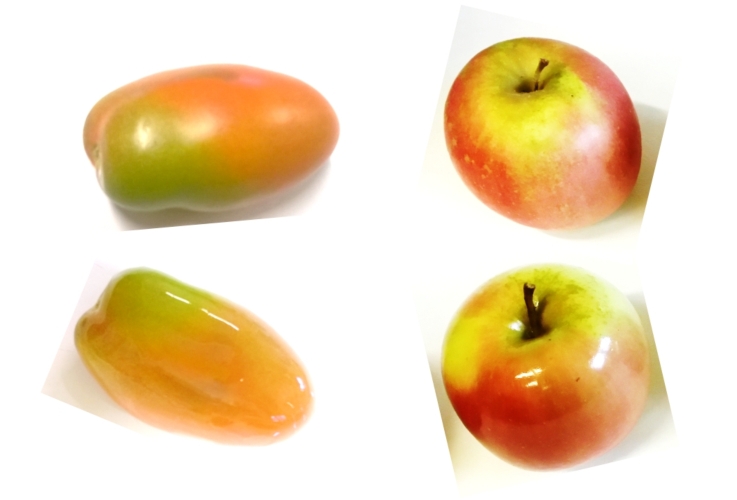 Pomodori e mele usati nella sperimentazione. In alto quelli non trattati, in basso quelli ricoperti con i biorivestimenti