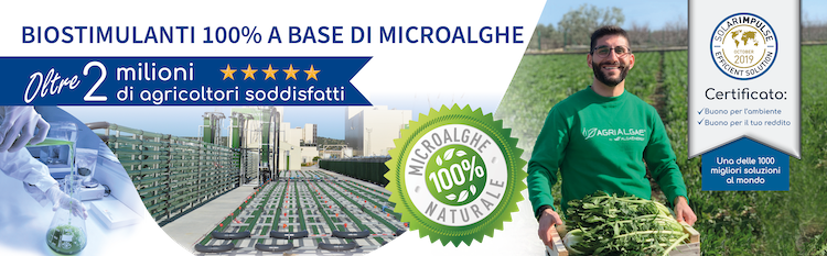 AlgaEnergy offre al mercato agricolo i biostimolanti agricoli 100% a base di microalghe AgriAlgae