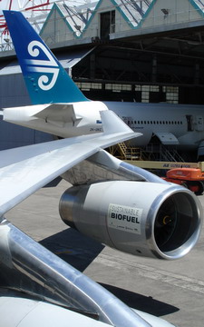 Cina e Boeing uniti per i biocarburanti in aviazione