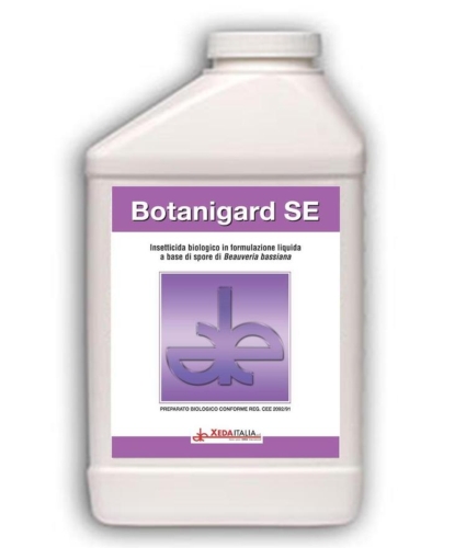 Botanigard SE può essere impiegato nella lotta contro aleurodidi, tripidi, alcune specie di afidi e l'acaro rosso