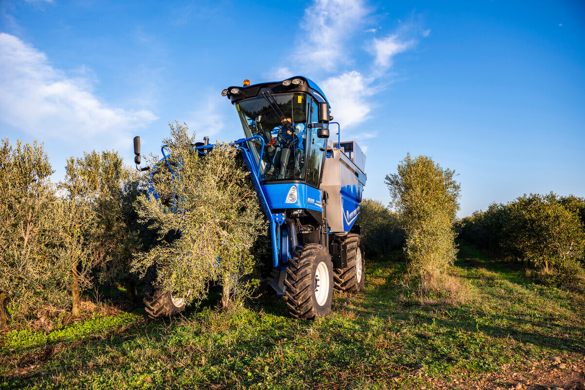 Braud 11.90 X multi di New Holland è una macchina innovativa per la raccolta delle olive