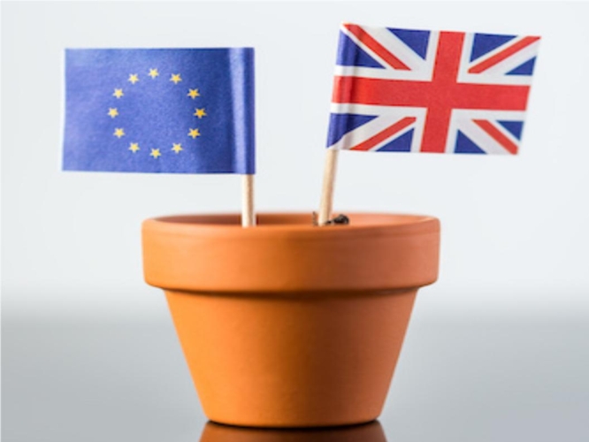 Brexit, l'uscita della Gran Bretagna dalla Ue potrà cambiare anche le regole sulle esportazioni di piante