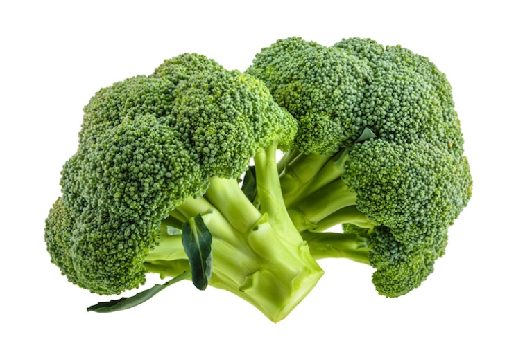Il broccolo è una pianta orticola appartenente alla famiglia delle Brassicaceae