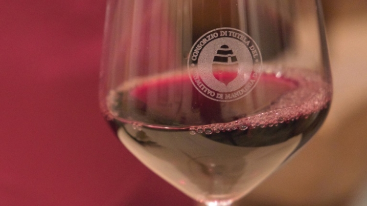 Fanno parte del Consorzio di tutela del Primitivo Doc 52 aziende che vinificano e imbottigliano e 900 viticoltori