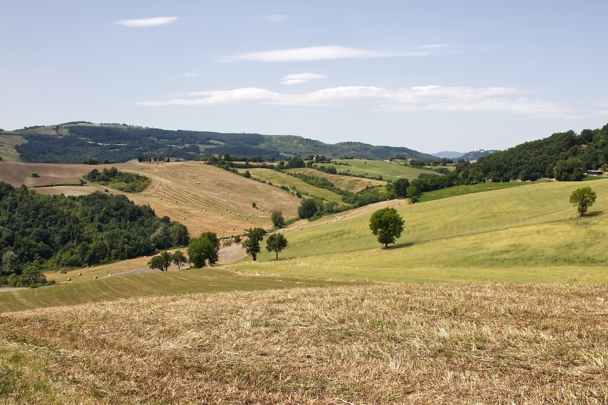 Campagna, colline e campi coltivati