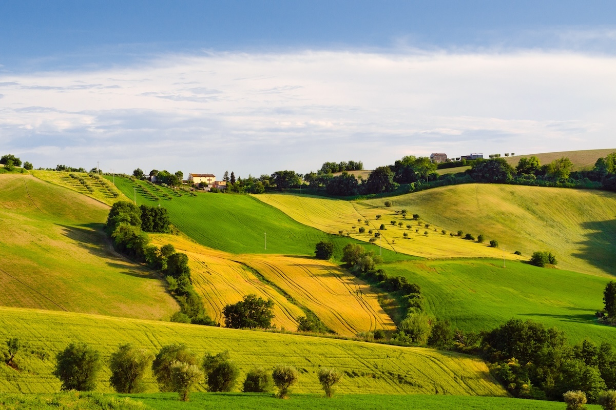 Il futuro dell'agricoltura Ue al centro del dialogo