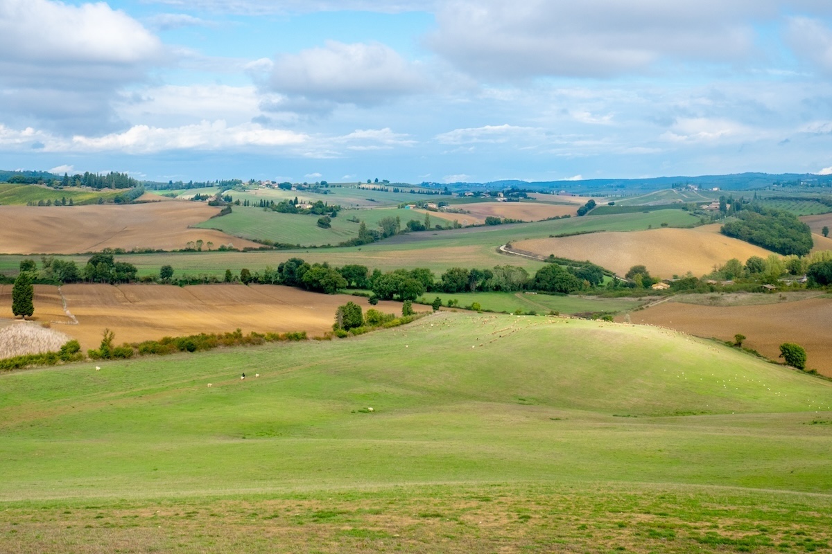 Campi e coltivazioni della Toscana: il futuro dell'agricoltura sarà al centro del convegno