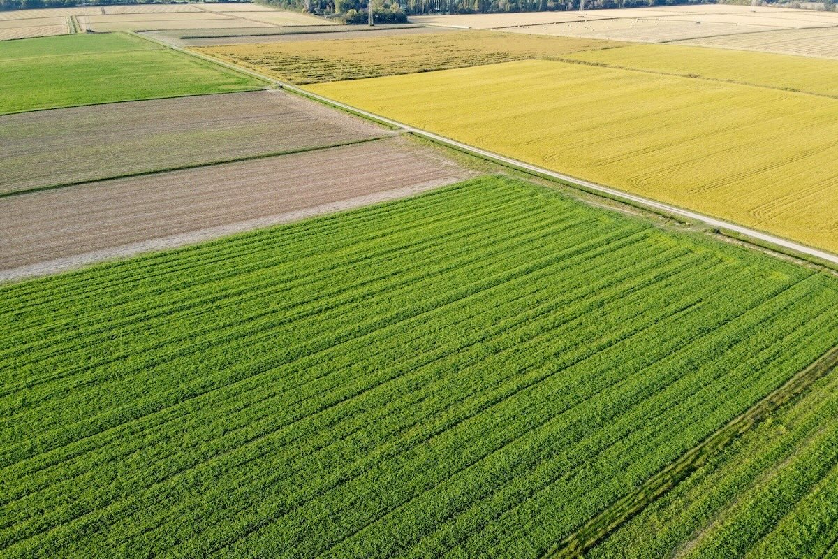 campi-coltivati-agricoltura-italia-a-pieve-emanuele-by-pietro-adobe-stock-1200x800.jpeg