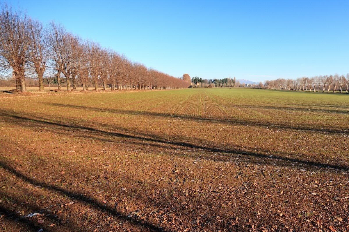 Terreni agricoli in Lombardia, la Regione è impegnata sul fronte green