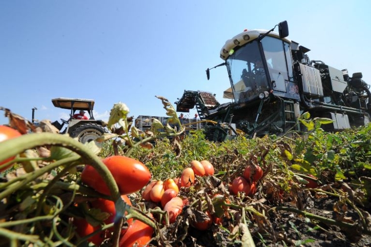 Scambio di accuse: Anicav teme che prezzi alti favoriscano zone grigie nel mondo agricolo, Op agricole che esista strategia per evitare accordo di filiera