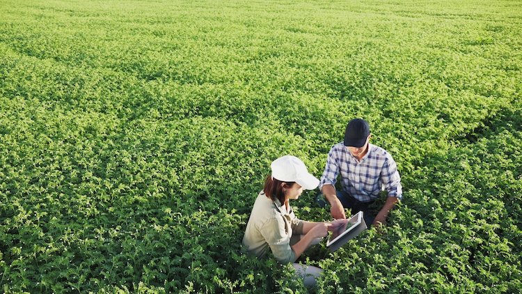 campo-agricoltura-digitale-tablet-by-diedov-stock-adobe-stock-750x422.jpeg