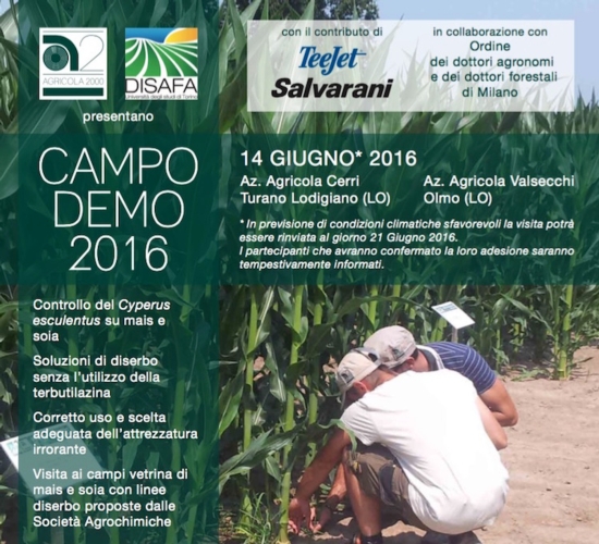 campo-demo-2016-fonte-agricola2000-20160614.jpg