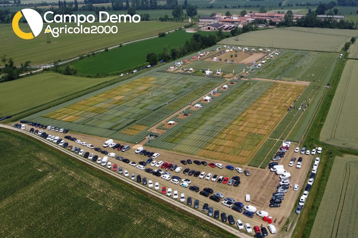 campo-demo-cereali-2024-panoramica-mag-2024-fonte-agricola-2000-1200x800.jpg