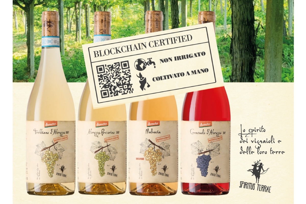 Bio Cantina Sociale Orsogna, il biologico entra in blockchain