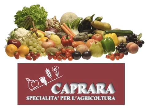 Nuova sezione download nel sito Caprara