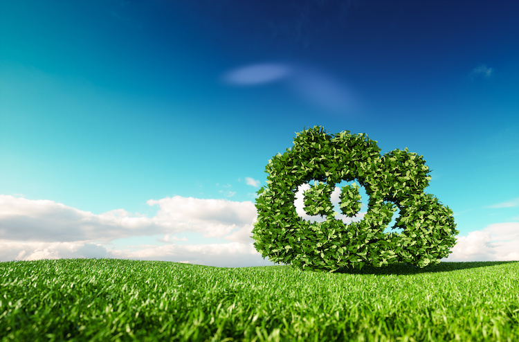 Il carbon farming rientra anche fra le opportunità comprese nei cosiddetti ecoschemi (Foto di archivio)