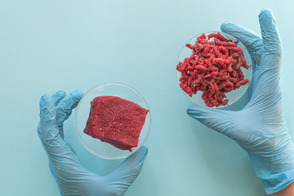 Carne sintetica fatta in laboratorio