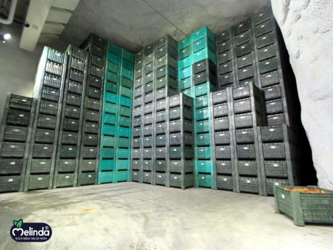 Ij funzione da ottobre del 2014 è costituito da 12 celle capaci di contenere 10.500 tonnellate di prodotto