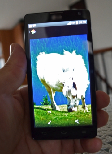 Dal progetto internazionale sul benessere animale arriva un'applicazione per Android che consente di valutare le espressioni facciali connesse al dolore