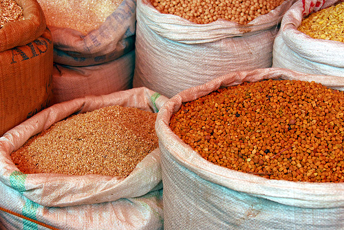 Secondo il rapporto Food Outlook, nel 2013 la produzione mondiale di cereali raggiungerà la cifra record di 2.460 milioni di tonnellate