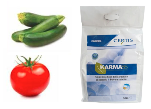 Karma® 85 di Certis, contro l'oidio delle colture orticole