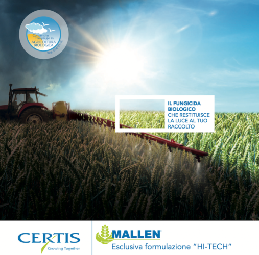 Mallen®: la nuova proposta di Certis Europe contro la fusariosi dei cereali