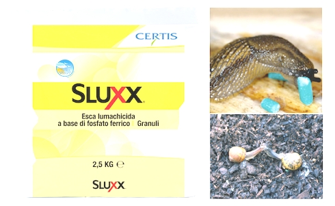 Sluxx di Certis Europe: soluzione contro lumache e limacce