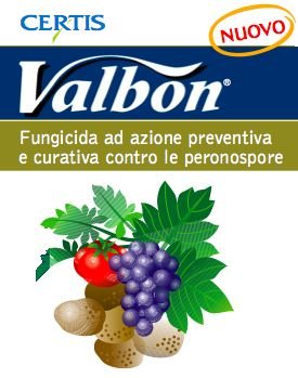 certis-valbon-fungicida-peronospore1