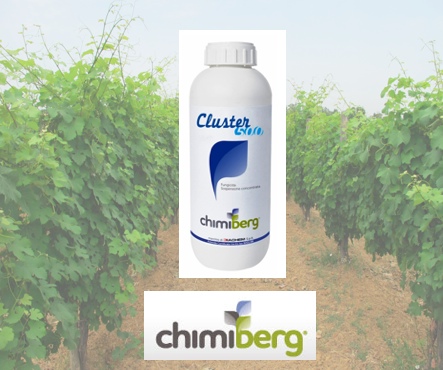 Cluster 500 di Chimiberg