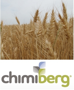 Nuova formulazione per Malerbane Cereali di Chimiberg