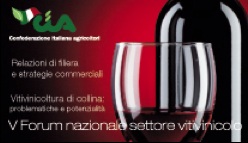 Si è tenuto il 5 dicembre a Rimini il Forum nazionale settore vitivinicolo